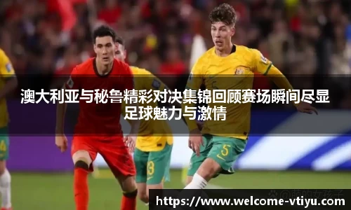 v体育官方网站